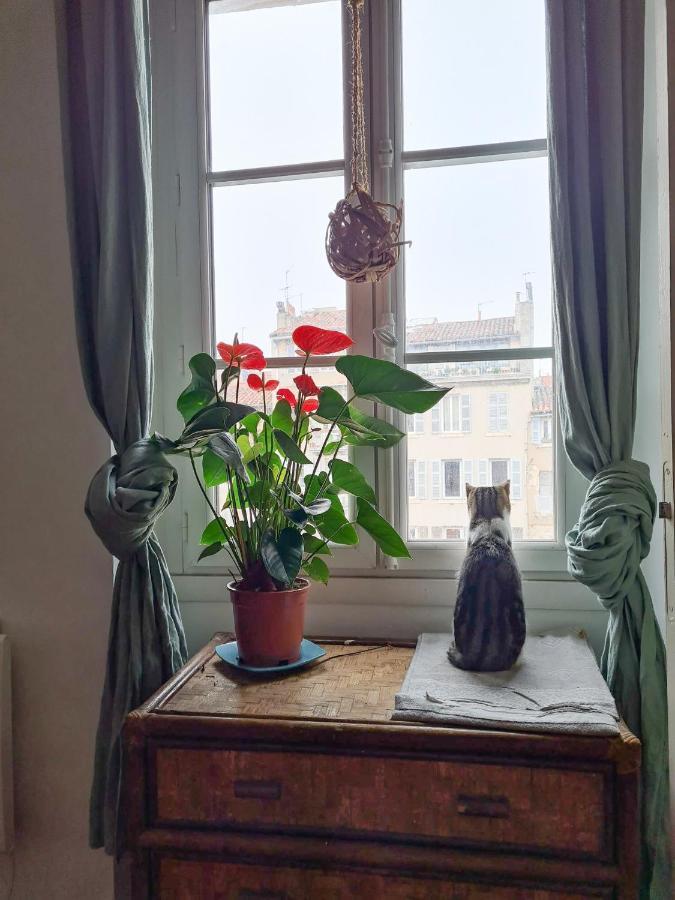 Jolie Chambre Dans Appartement Cosy En Plein Centre Marseilles Exterior foto